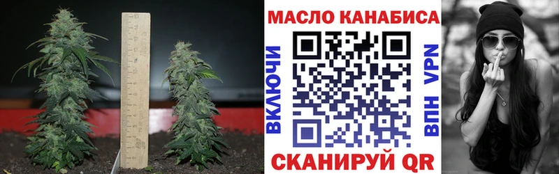 ТГК THC oil купить MEGA как войти Волжск