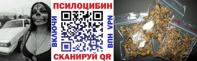 Псилоцибиновые грибы мухоморы  где продают наркотики  Волжск 